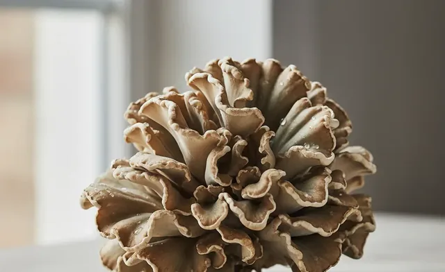 Maitake Mushroom for Blood Sugar: Does It Really Work?