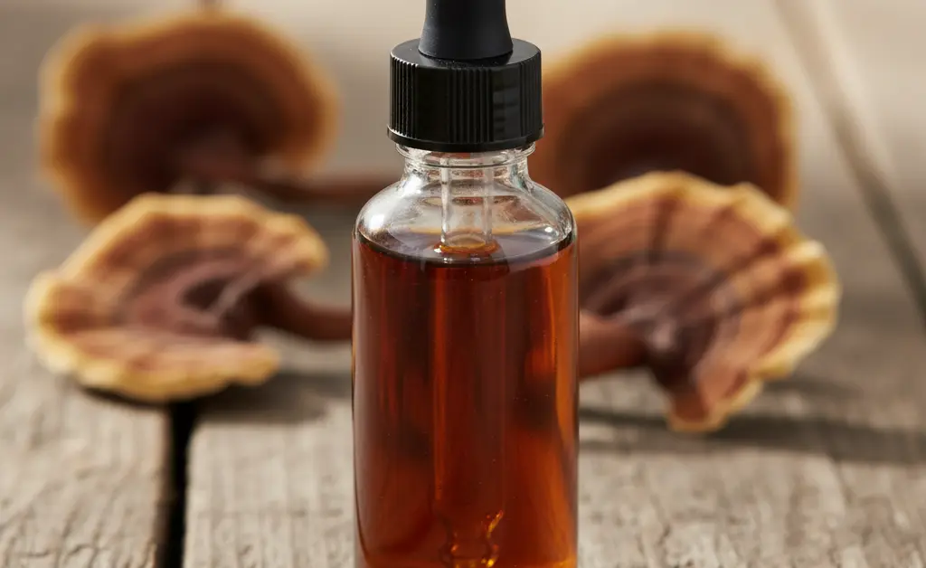Unlocking the Potential of Turkey Tail Mushroom Extract for Human Wellness