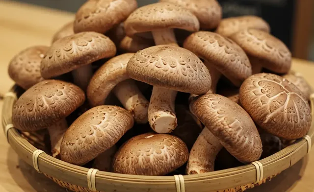 Where to buy fresh shiitake mushrooms: Selection & price.