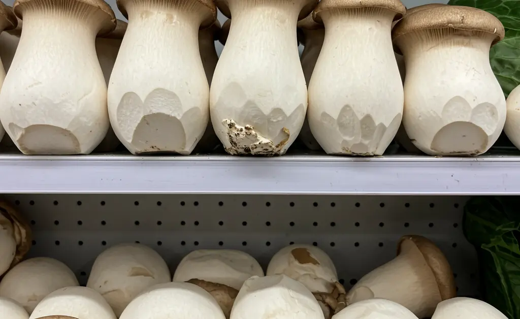 Locating King Oyster Mushrooms in Your Local Supermarket