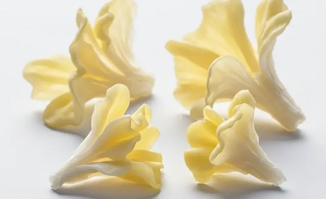 Buy Tremella Mushroom UK: Quality Products & Suppliers