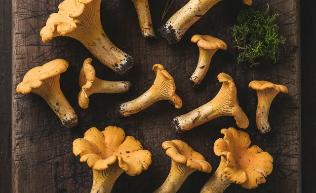 A Culinary Guide to Japan's Chanterelle Mushrooms