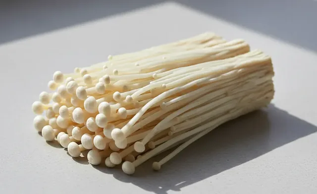 How enoki mushroom for cholesterol can lower your levels