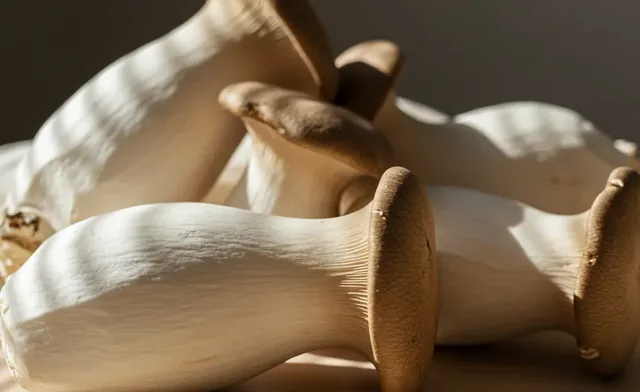 Commercial King Oyster Mushroom UK Suppliers & Sourcing
