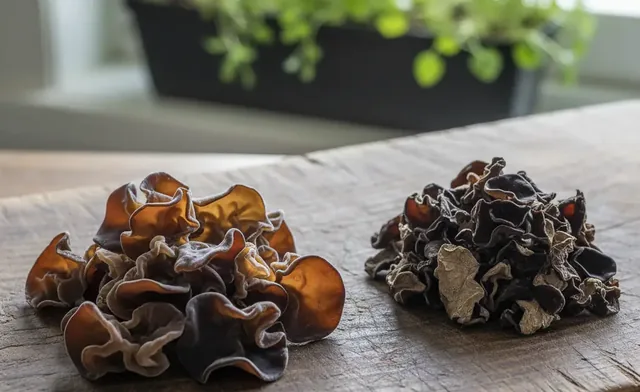 wood ear mushroom vs black fungus | Differences & Uses