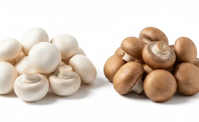 Button vs. Cremini: A Guide to Flavor and Use