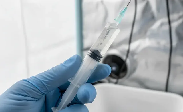 Hedgehog mushroom liquid culture syringe - What to Know